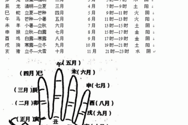 掌纹解读：如何通过掌纹了解你的性格与命运